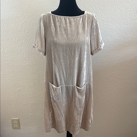 Anthropologie Floreat Crinkle Crushed Velvet Dress Champagne Pockets 0135 - Picture 2 of 9